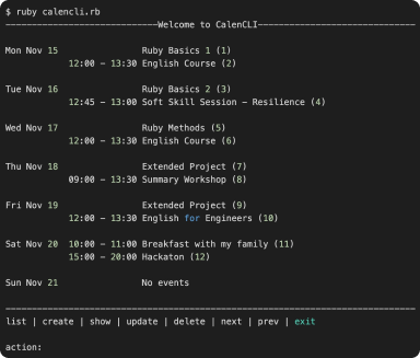 Picture of the terminal of a ruby interfase